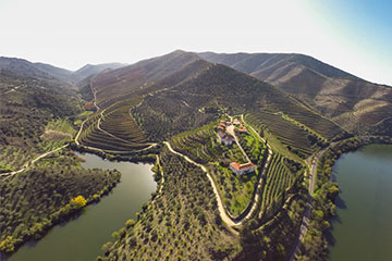 Kopke Group: Burmester (since 1750)